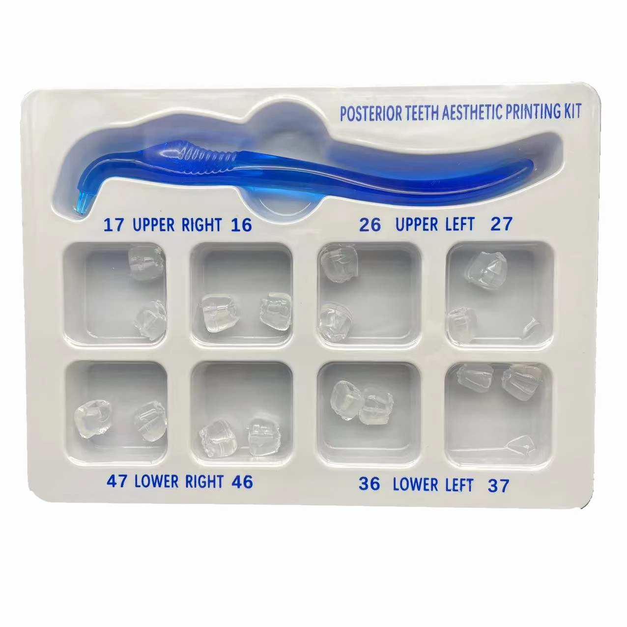 Dental Orthodontic Posterior T - огляд і ціна 3D Printing Orthodontics