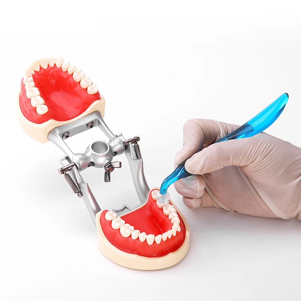 Dental Orthodontic Posterior T - огляд і ціна 3D Printing Orthodontics