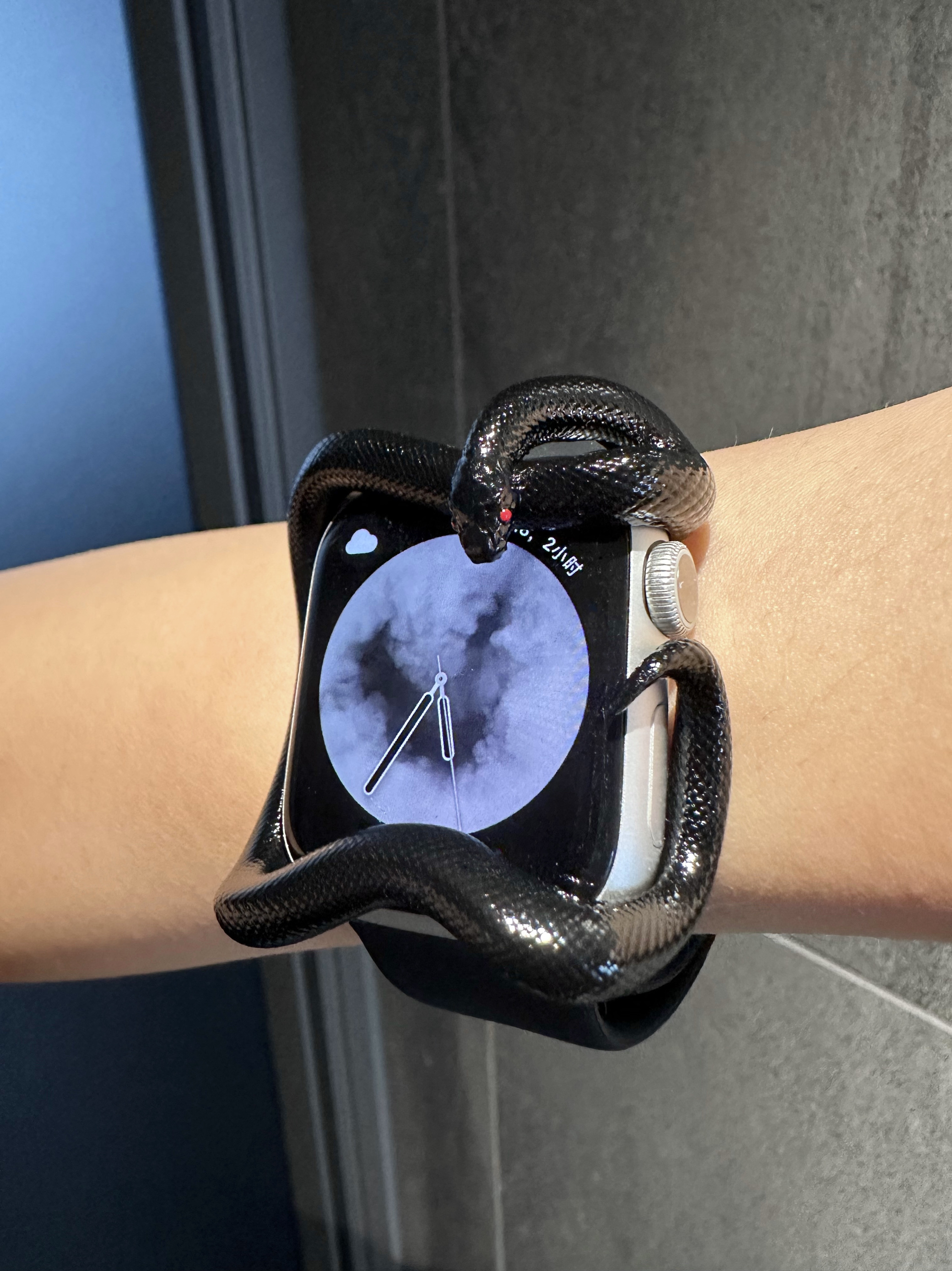 Snake Resin Material Watch Cas - огляд і ціна 3D Printing Design Software
